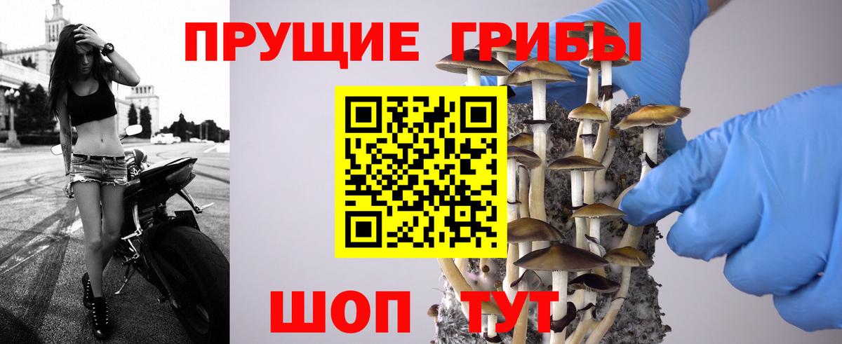 Псилоцибиновые грибы мухоморы  Галлюциногенные грибы Cubensis  Вход с VPN  Керчь 